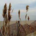 Sherwood Island State Park