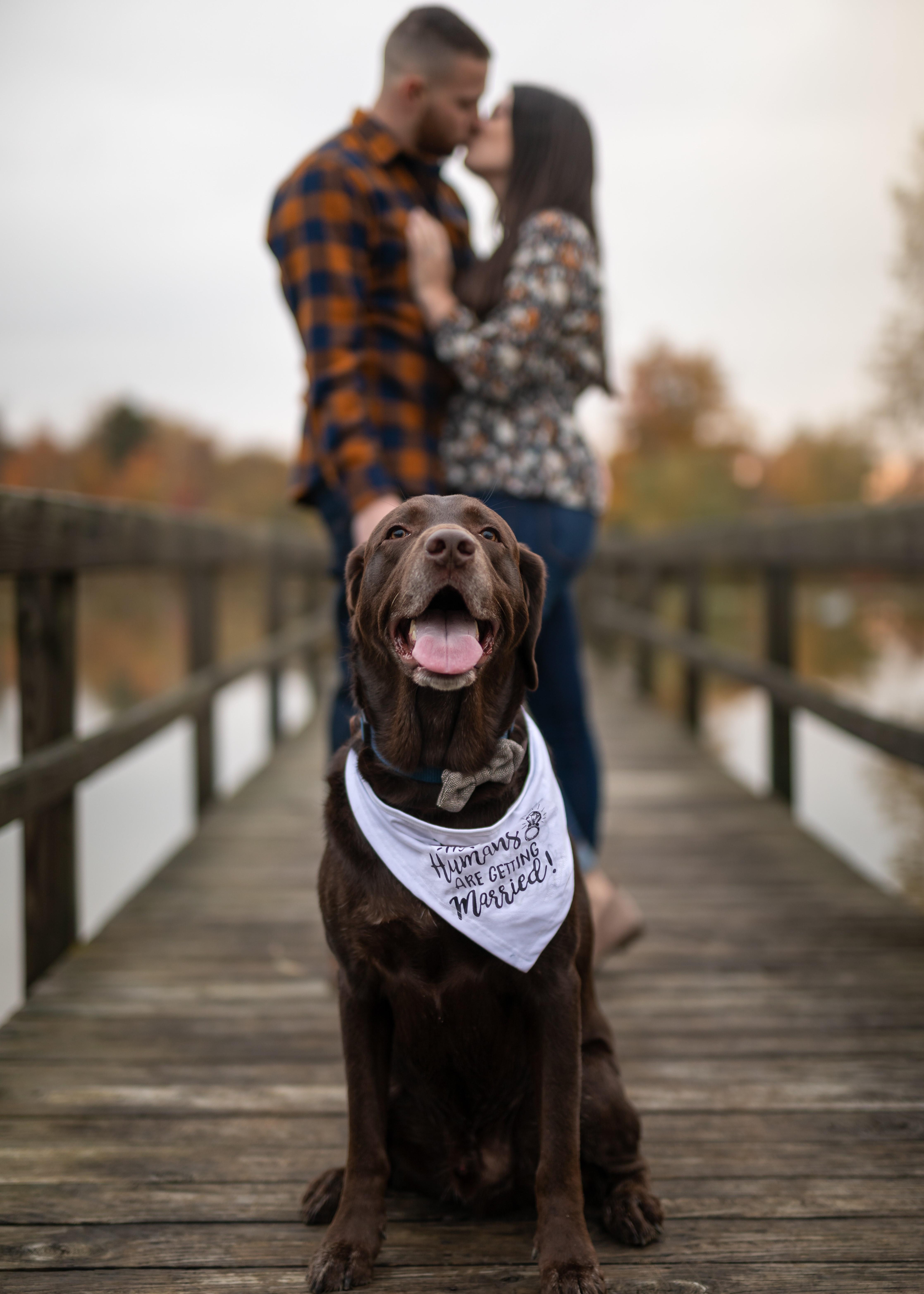 The Wedding Website of Amanda Salkiewicz and Brent Simpson