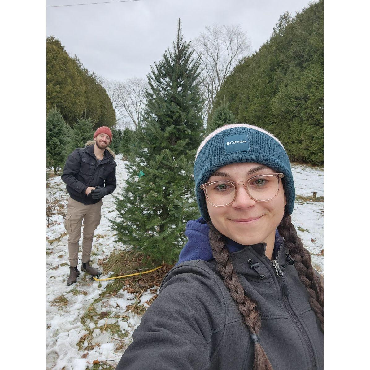 Our second Christmas Tree