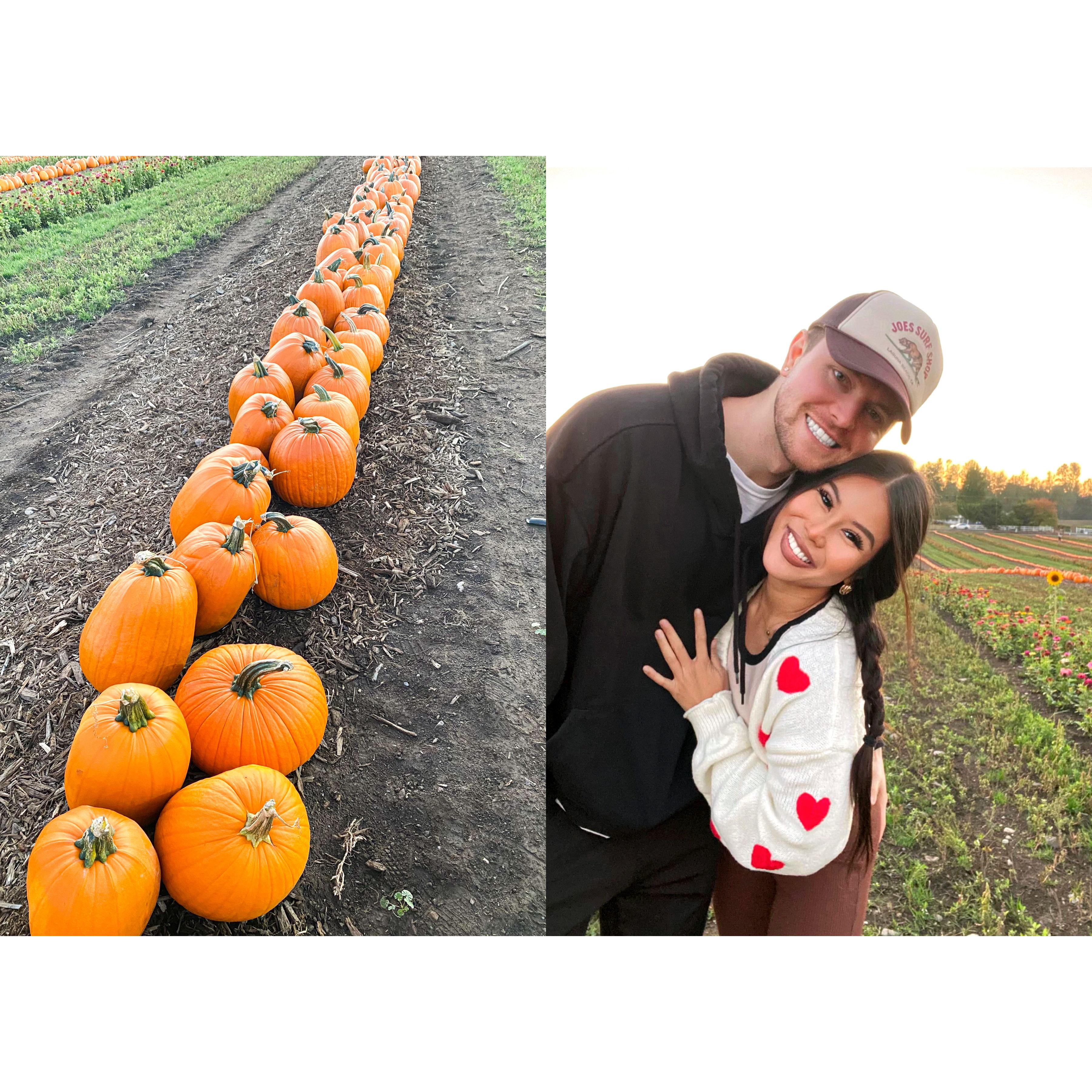 (Maris Farm) - Getting lost in the pumpkin patch with our favorite person! 🎃❤️ Nothing says fall romance like hayrides and cozy cuddles!