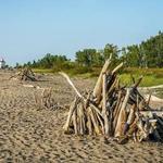Headlands Beach State Park