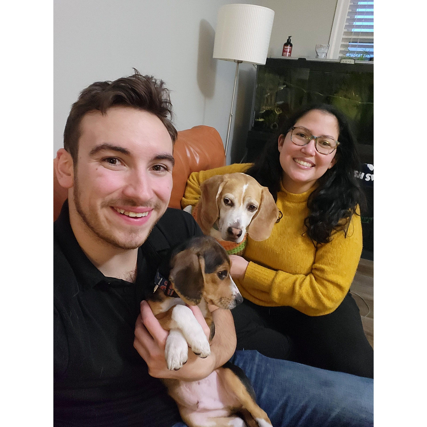 The day we got Theo