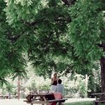 Arrington Vineyards