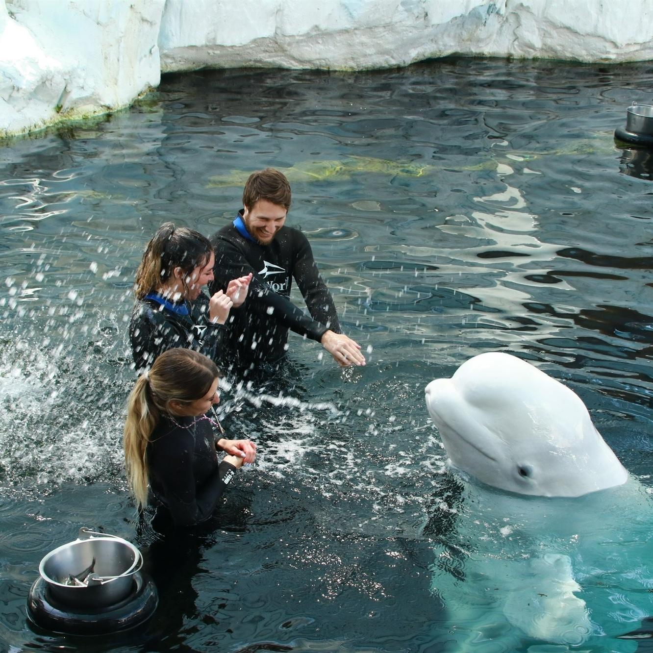 Corey’s birthday at Seaworld!