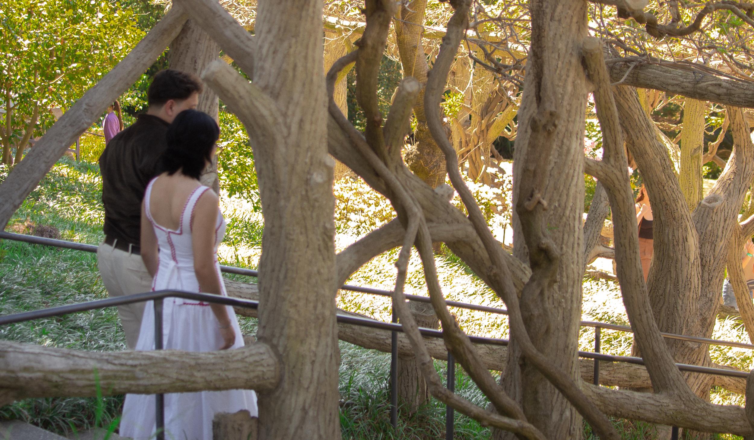 The Wedding Website of Elvis Rodriguez and Ashley Miranda