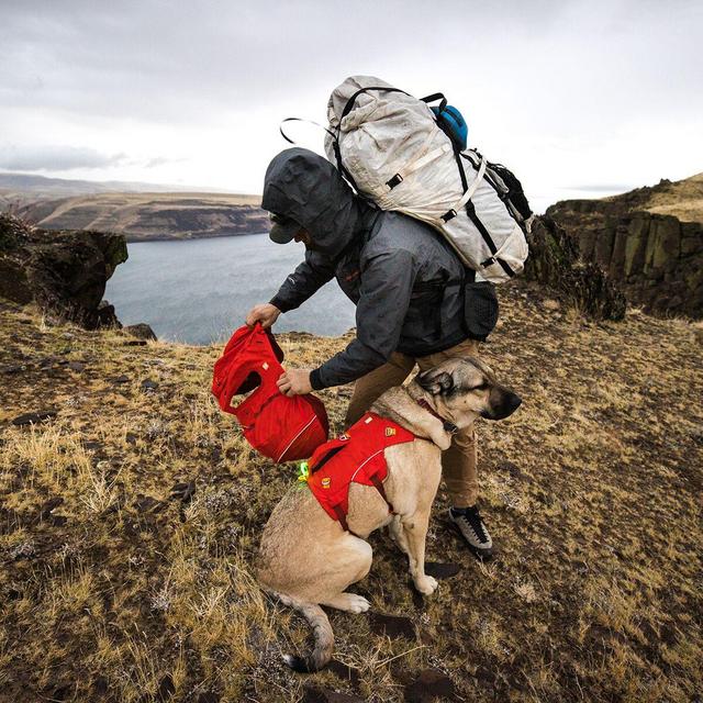 Palisades Dog Pack