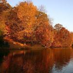 Burdette Park
