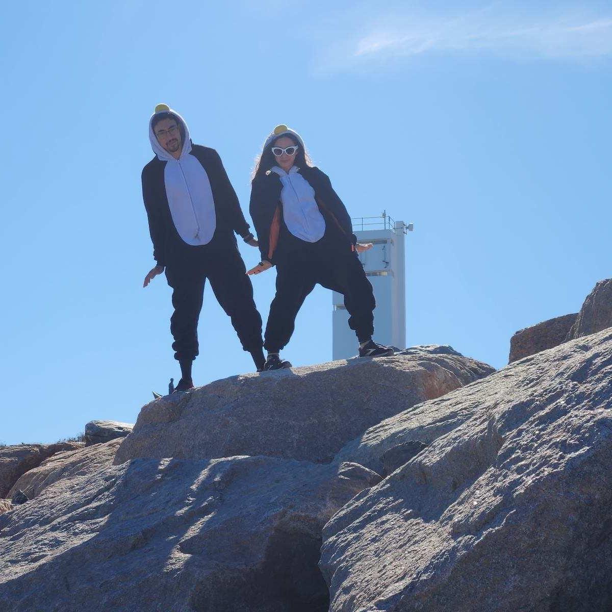 Just a couple of penguins in Montauk