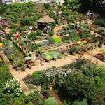 UGA Trial Gardens