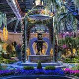 Bellagio Conservatory & Botanical Gardens