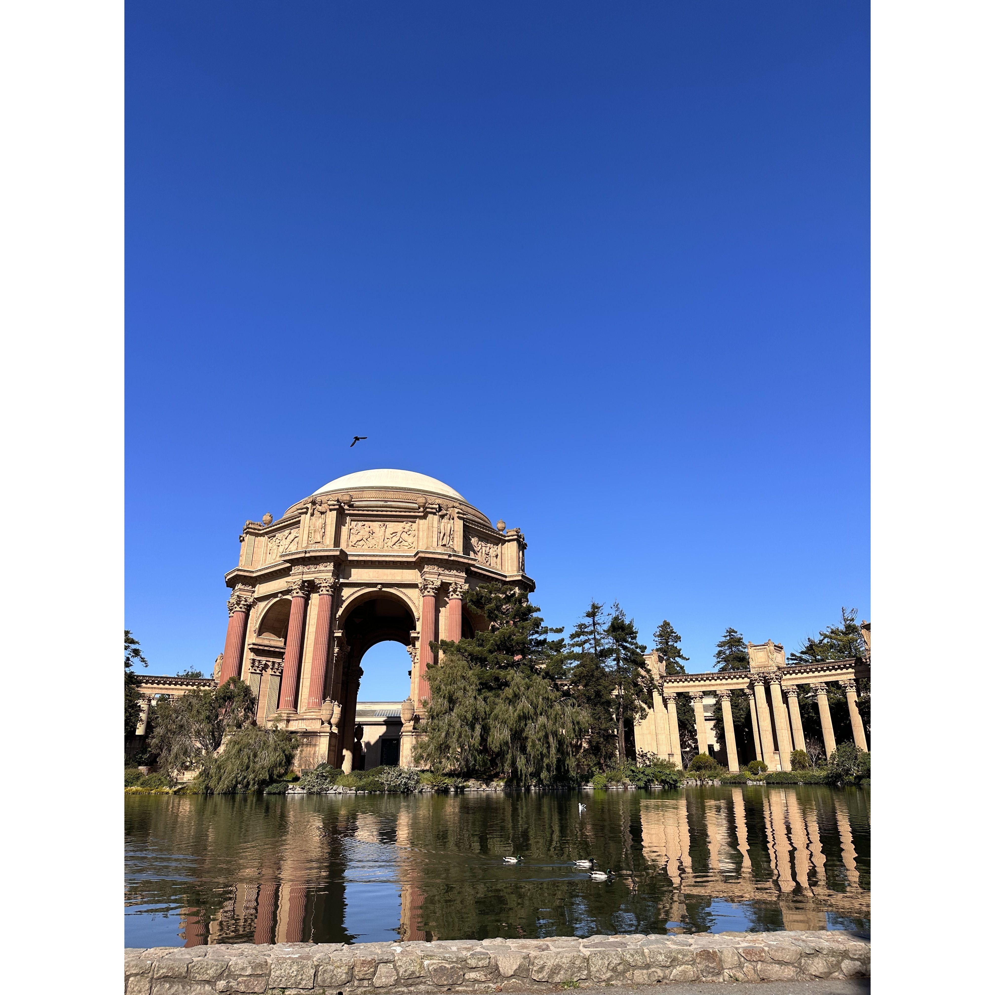 We decided to have our engagement photos taken at the Palace of Fine Arts in San Francisco, CA. Special thanks to our lovely photographers Lily & Josh Hornstein.