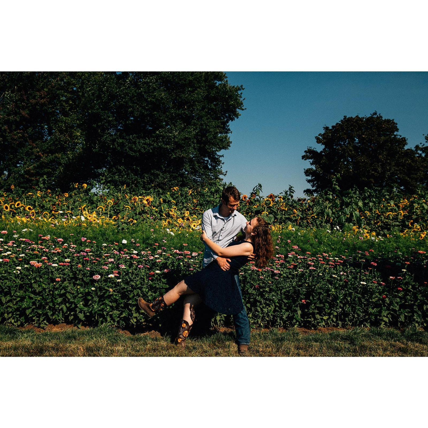Engagement photoshoot with Zoe Burchard at the Mountainview Blueberry Farm's sunflower festival