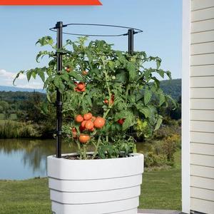 Gardener’s Revolution® Classic Tomato Planter