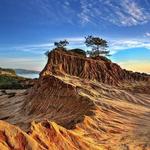 Torrey Pines State Beach