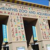 Memphis Zoo