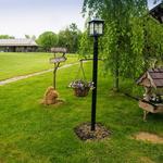 The Honeysuckle Ranch
