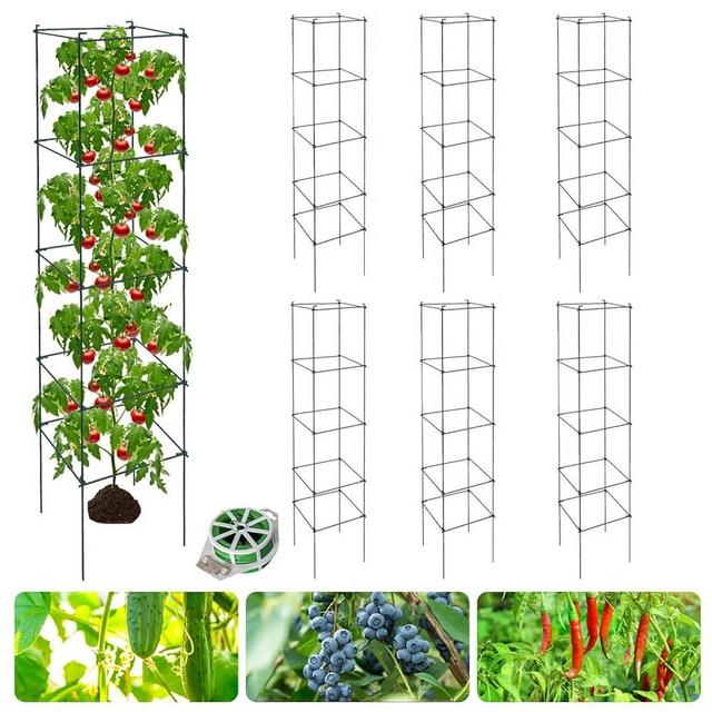 LAKNUAL 6 Packs Tomato Cages for Garden, 12"×12"×56" Plant Support Cage with Different Spacing, Green Metal Trellis for Climbing Plants Like Cucumber, Flowers