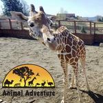 Animal Adventure Park