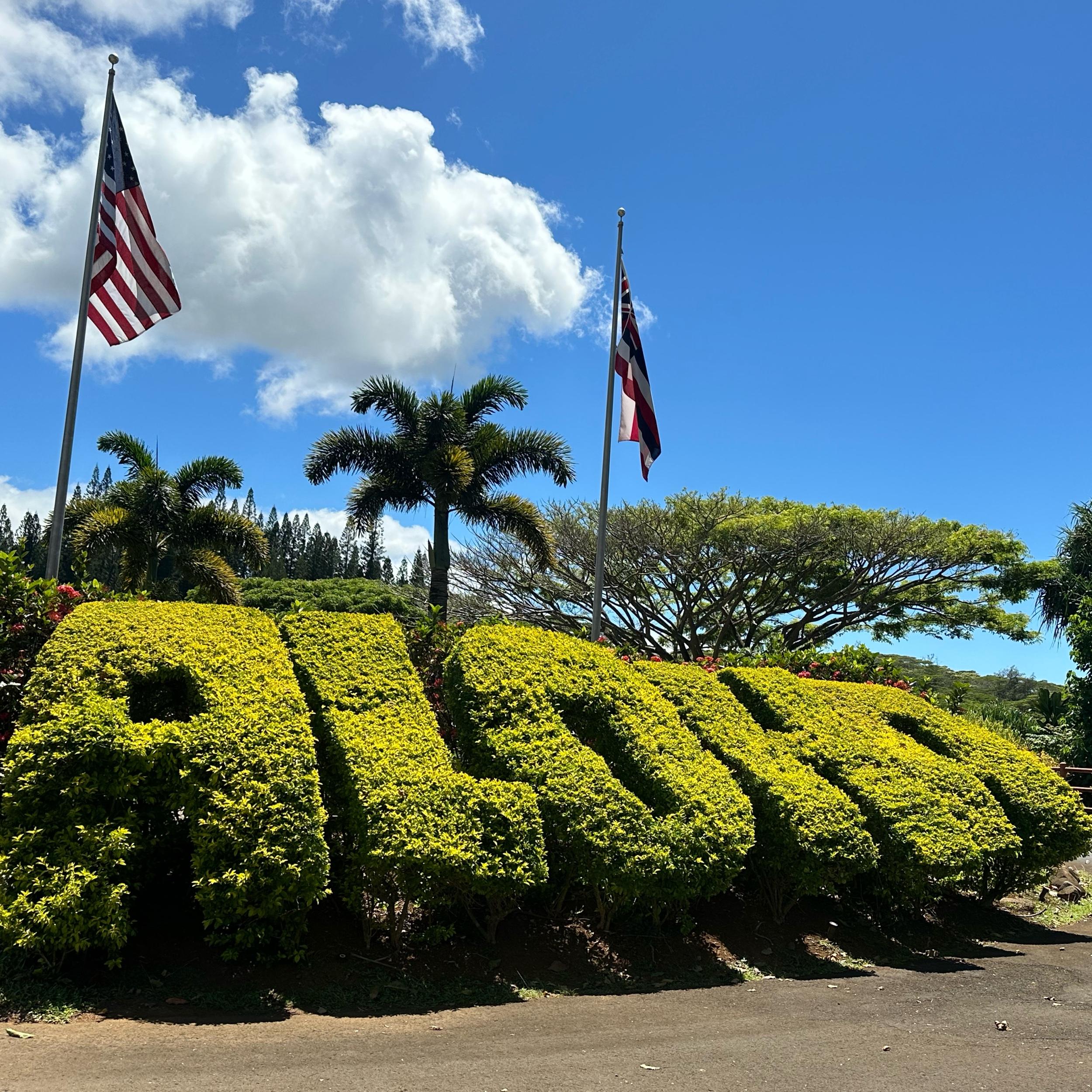 Honeymoon Adventure Fund