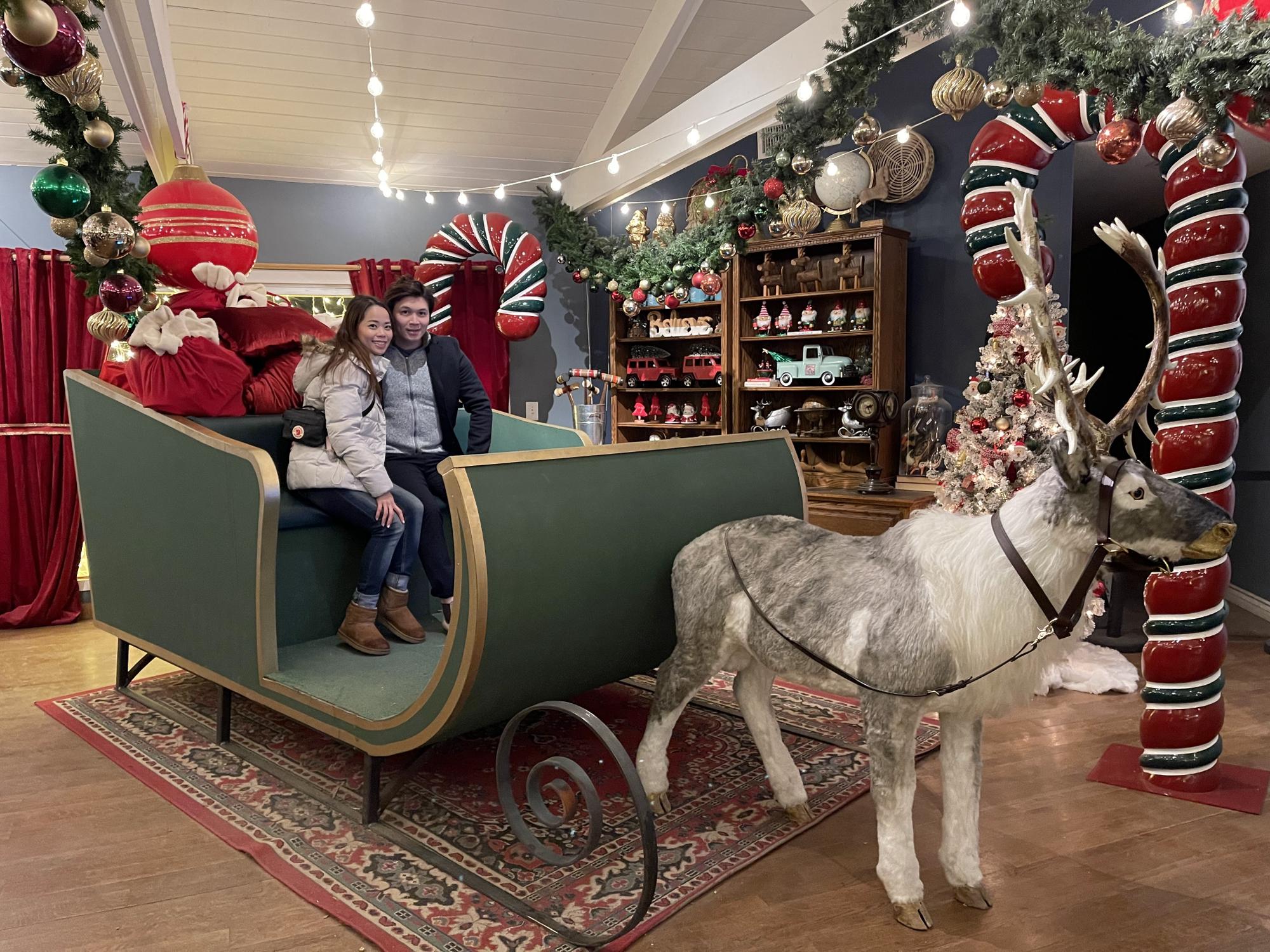 Winter 2022- Christmas festival at 123 Farm, Beaumont.