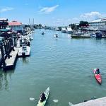 Shem Creek