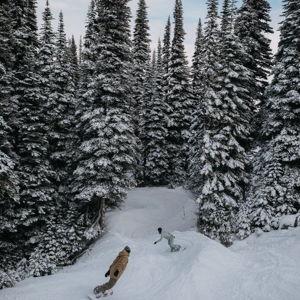 Honeymoon Fun(d)