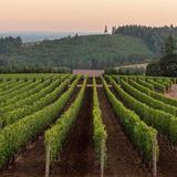 Willamette Valley