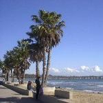 Surfers Point at Seaside Park