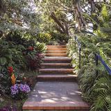 San Diego Botanic Garden