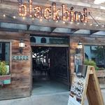 Blackbird Tavern