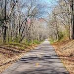 Swamp Rabbit Trail