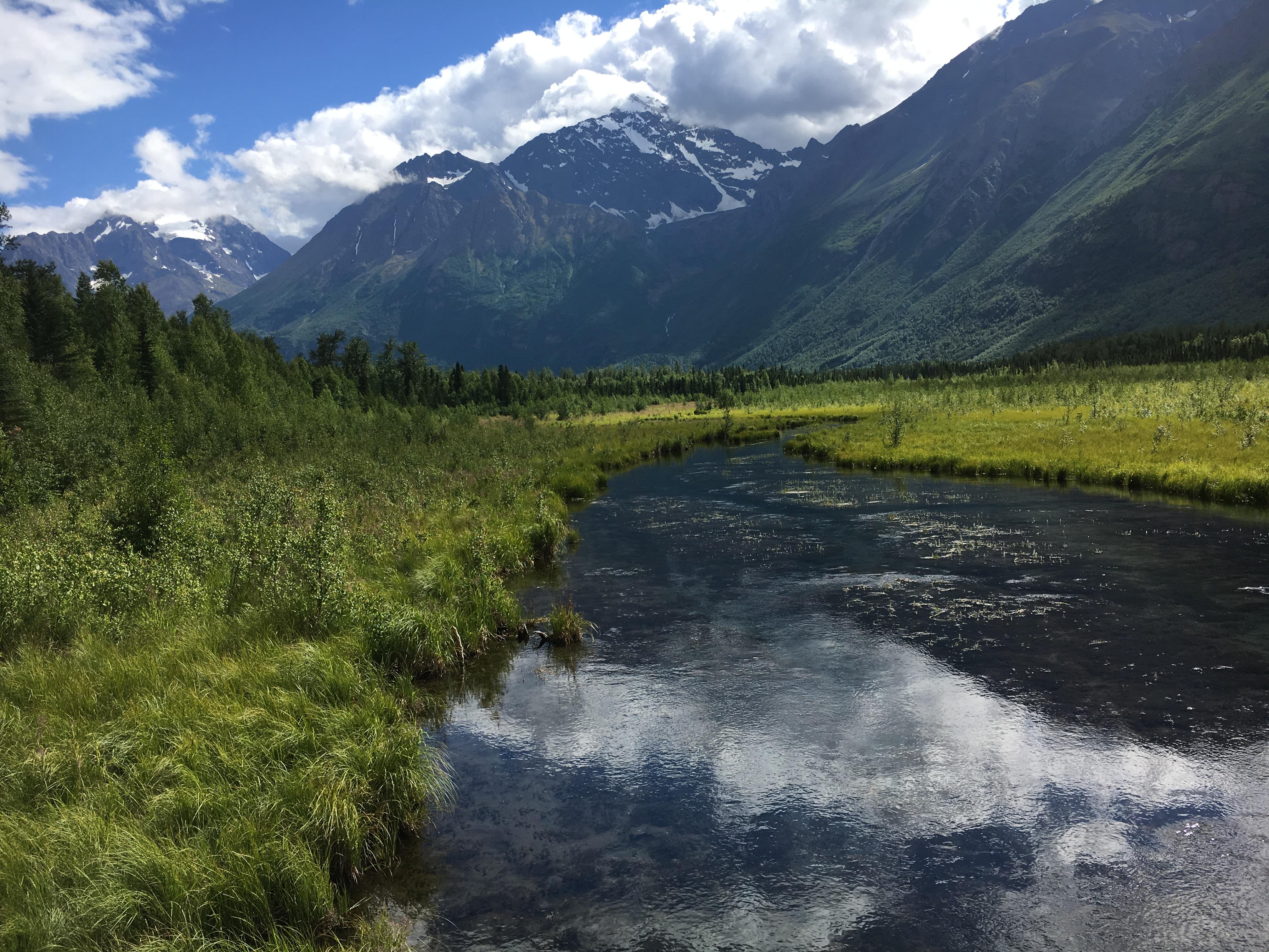 The Wedding Website of Cassidy Landes and Wm "Patrick" McLain Jr