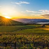 Wine Country