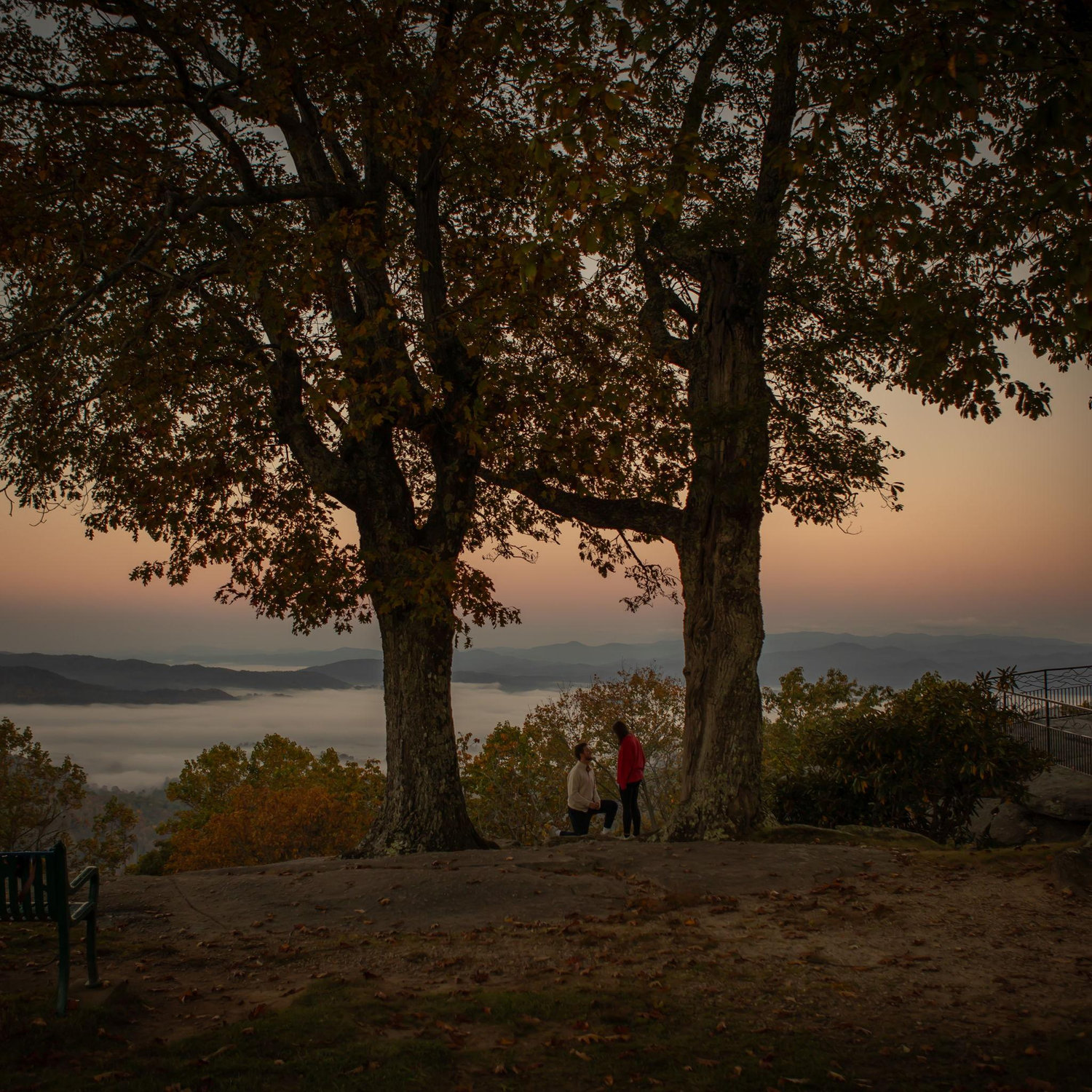 The setting
