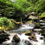 Anna Ruby Falls