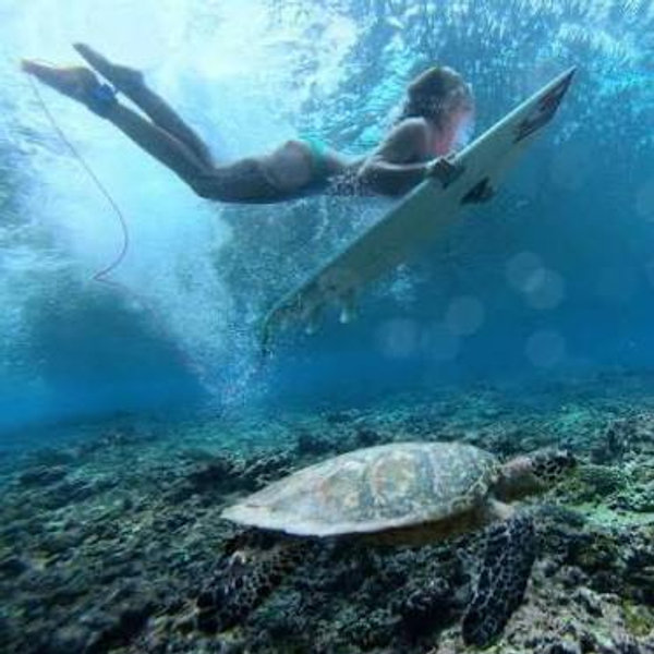 Half day surfing excursion in the lagoon