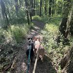 Red Bluff Nature Preserve