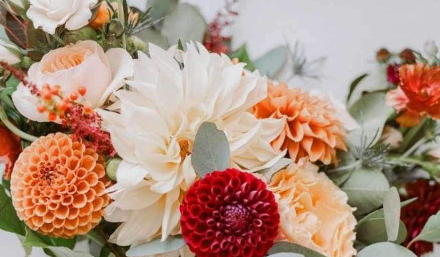 The Wedding Website of Natalie Klee and Vincent Mazzali