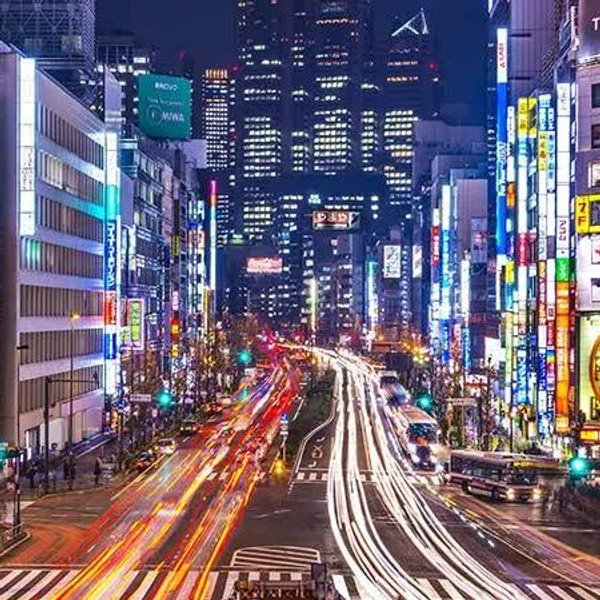 Tokyo Shopping Fund