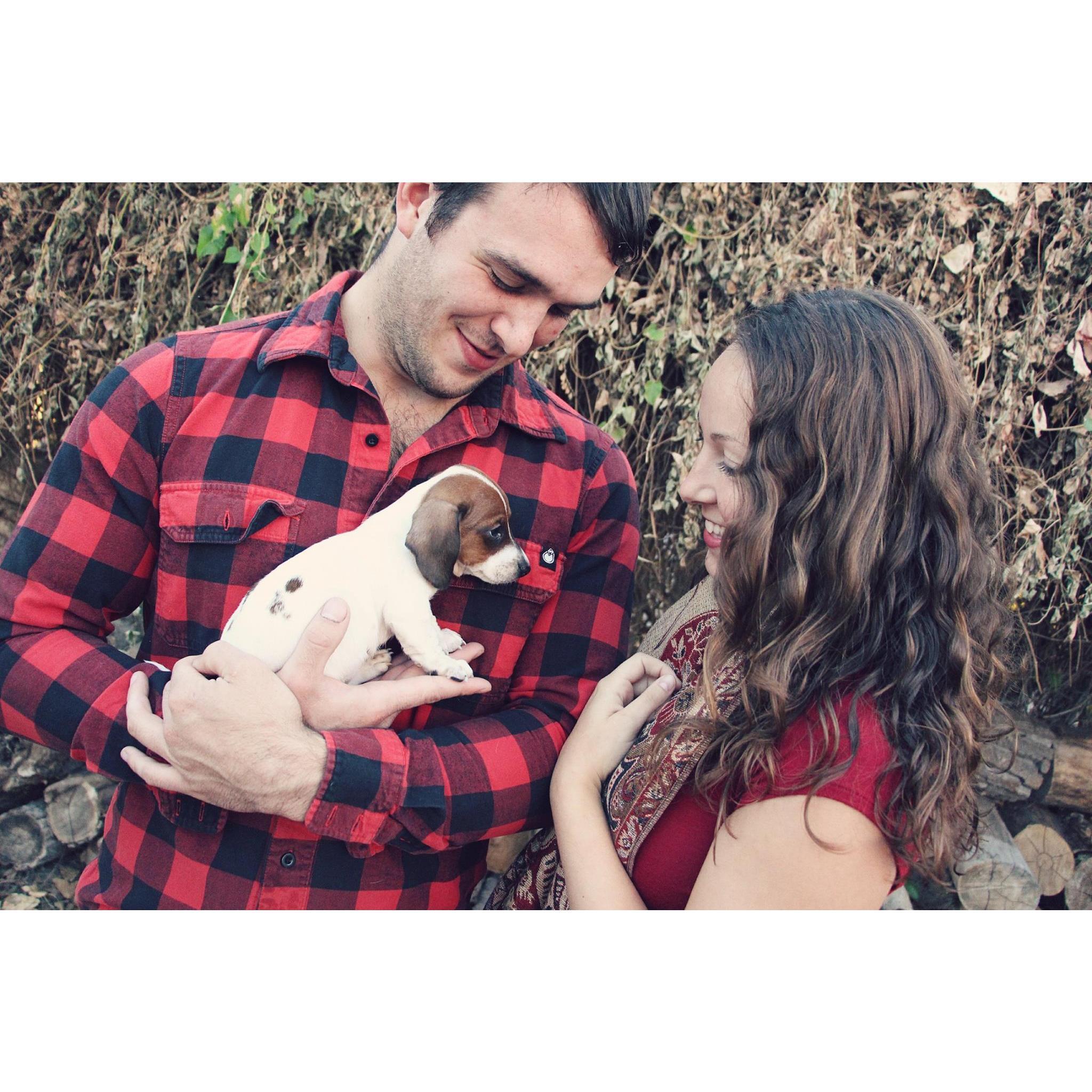 When we first got Mr. Pickles