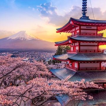 Tokyo Hotel Stay