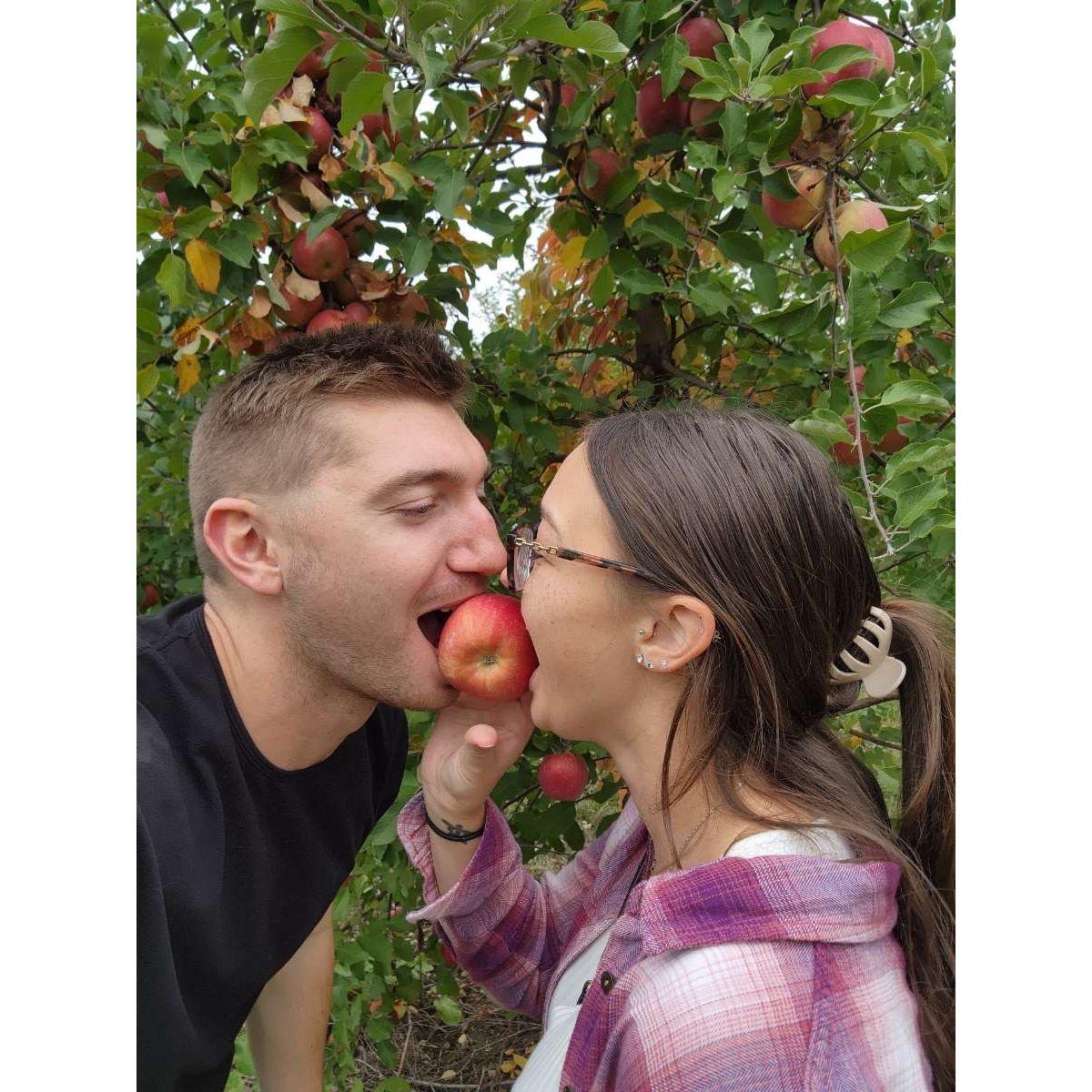 Our first time apple picking