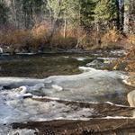 Shevlin Park