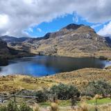 Cajas