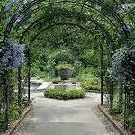 Dixon Gallery & Gardens