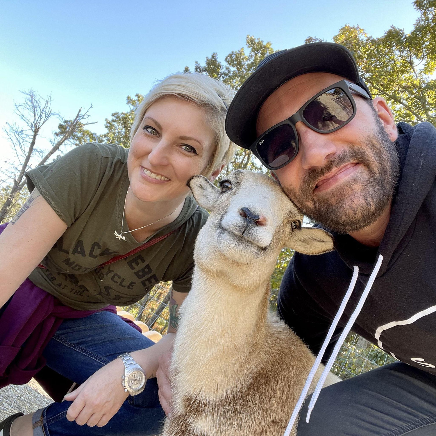 Animals.