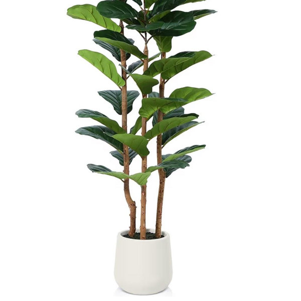 Artificial Fiddle Leaf Fig Tree with White Planter,5ft Tall Fake Tree with Natural Wood Trunk for Home Decor, Faux Ficus Tree Fake Moss for Indoor Office Living Room