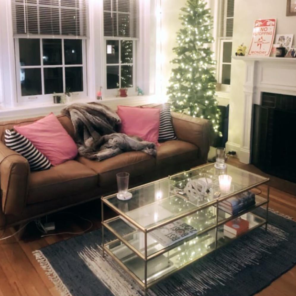 May 2019: Our first apartment together in Cambridge!