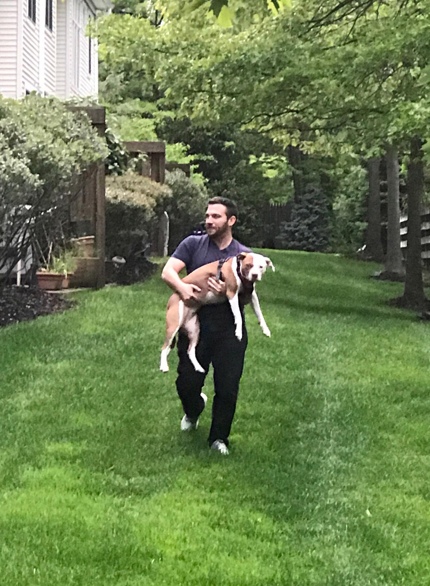Lex loves dogs...
