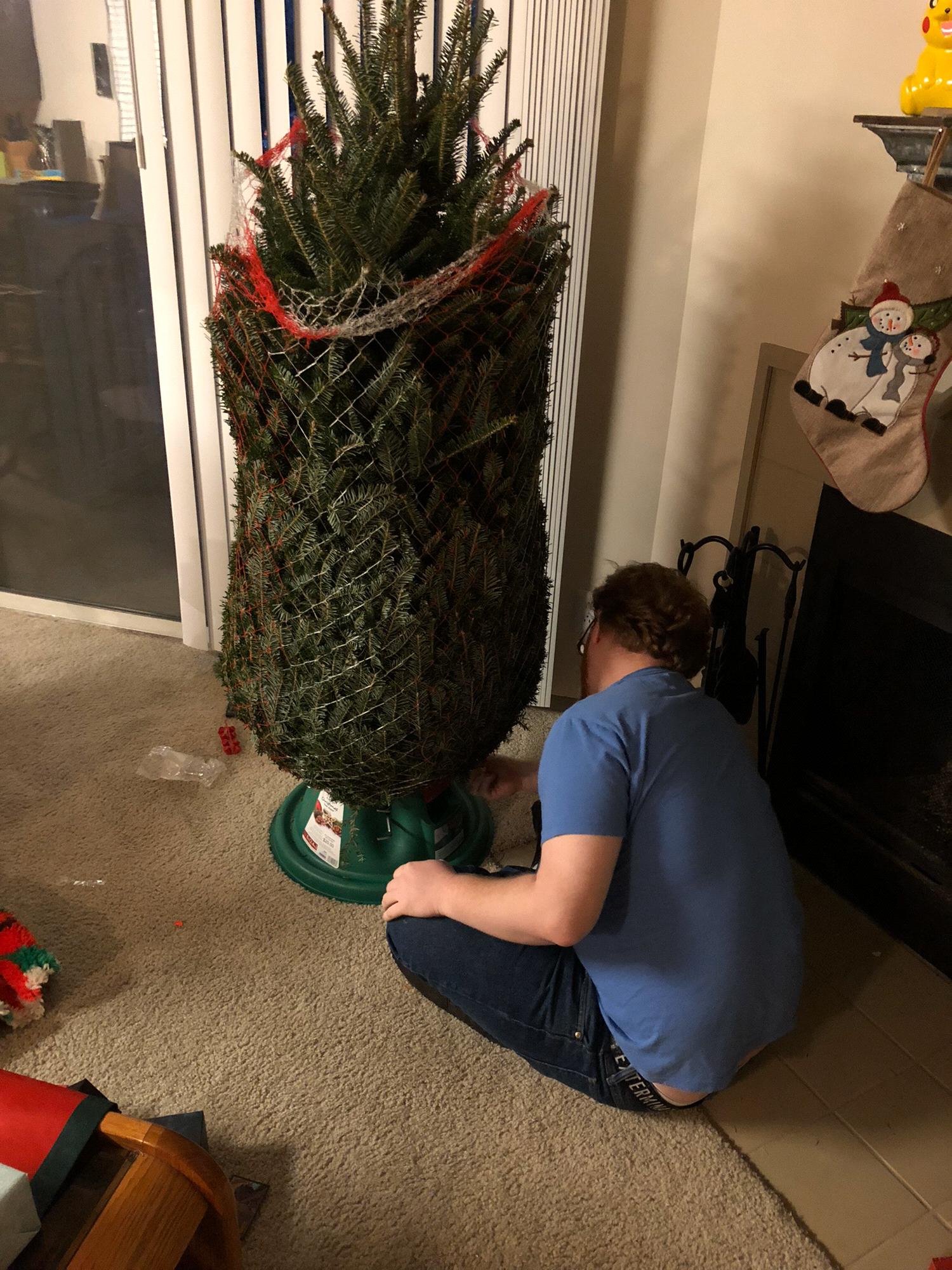 Our first Christmas tree!!!